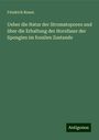 Friedrich Rosen: Ueber die Natur der Stromatoporen und über die Erhaltung der Hornfaser der Spongien im fossilen Zustande, Buch