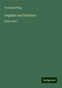 Ferdinand Pflug: Geglänzt und Erloschen, Buch