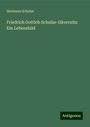 Hermann Schulze: Friedrich Gottlob Schulze-Gävernitz: Ein Lebensbild, Buch