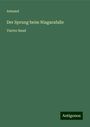 Armand: Der Sprung beim Niagarafalle, Buch