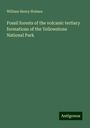 William Henry Holmes: Fossil forests of the volcanic tertiary formations of the Yellowstone National Park, Buch