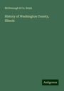 McDonough Brink & Co.: History of Washington County, Illinois, Buch