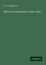 D. W. Ensign & Co.: History of Columbiana County, Ohio, Buch