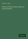 Clement L. Clapp: History of Greene county, Illinois: its past and present, Buch