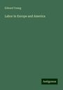 Edward Young: Labor in Europe and America, Buch