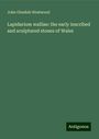 John Obadiah Westwood: Lapidarium walliae: the early inscribed and sculptured stones of Wales, Buch