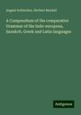 August Schleicher: A Compendium of the comparative Grammar of the Indo-european, Sanskrit, Greek and Latin languages, Buch