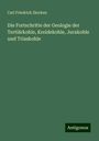 Carl Friedrich Zincken: Die Fortschritte der Geologie der Tertiärkohle, Kreidekohle, Jurakohle und Triaskohle, Buch