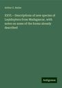 Arthur G. Butler: XXVI.¿Descriptions of new species of Lepidoptera from Madagascar, with notes on some of the forms already described, Buch