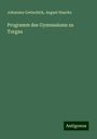 Johannes Gottschick: Programm des Gymnasiums zu Torgau, Buch