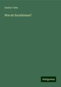 Gustav Cohn: Was ist Socialismus?, Buch