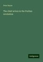 Peter Bayne: The chief actors in the Puritan revolution, Buch