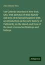 John Gilmary Shea: The Catholic churches of New York City, with sketches of their history and lives of the present pastors: with an introduction on the early history of Catholicity on the island, and lives of the most reverend archbishops and bishops, Buch