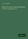 A. C. L. Carlleyle: Report of a tour in Eastern Rajputana in 1871-72 and 1872-73, Buch