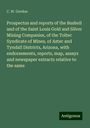 C. W. Gordon: Prospectus and reports of the Bushell and of the Saint Louis Gold and Silver Mining Companies, of the Toltec Syndicate of Mines, of Aztec and Tyndall Districts, Arizona, with endorsements, reports, map, assays and newspaper extracts relative to the same, Buch