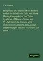 C. W. Gordon: Prospectus and reports of the Bushell and of the Saint Louis Gold and Silver Mining Companies, of the Toltec Syndicate of Mines, of Aztec and Tyndall Districts, Arizona, with endorsements, reports, map, assays and newspaper extracts relative to the same, Buch