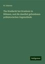 W. Osborne: The Hradischt bei Stradonic in Böhmen, und die daselbst gefundenen prähistorischen Gegenstände, Buch