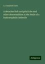 A. Campbell Clark: A detached left occipital lobe and other abnormalities in the brain of a hydrocephalic imbecile, Buch