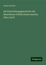 Justus Carrière: Die Entwicklungsgeschichte der Mauerbiene (Chalicodoma muraria, Fabr.) im Ei, Buch