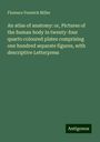 Florence Fenwick Miller: An atlas of anatomy: or, Pictures of the human body in twenty-four quarto coloured plates comprising one hundred separate figures, with descriptive Letterpress, Buch