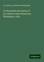 L. B. Welch: An illustrated description of pre-historic relics found near Wilmington, Ohio, Buch