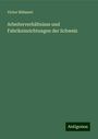 Victor Böhmert: Arbeiterverhältnisse und Fabrikeinrichtungen der Schweiz, Buch