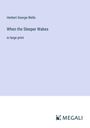 H. G. Wells: When the Sleeper Wakes, Buch