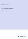 Theodore Dreiser: The Financier; A Novel, Buch