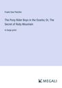 Frank Gee Patchin: The Pony Rider Boys in the Ozarks; Or, The Secret of Ruby Mountain, Buch