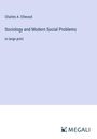 Charles A. Ellwood: Sociology and Modern Social Problems, Buch