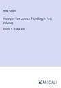 Henry Fielding: History of Tom Jones, a Foundling; In Two Volumes, Buch