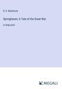 R. D. Blackmore: Springhaven; A Tale of the Great War, Buch