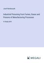 Josef Rambousek: Industrial Poisoning from Fumes, Gases and Poisons of Manufacturing Processes, Buch