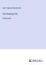 John Frederick Macdonald: The Amazing City, Buch