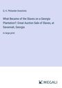 Q. K. Philander Doesticks: What Became of the Slaves on a Georgia Plantation?; Great Auction Sale of Slaves, at Savannah, Georgia, Buch