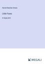Harriet Beecher Stowe: Little Foxes, Buch