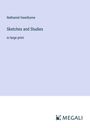 Nathaniel Hawthorne: Sketches and Studies, Buch