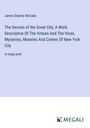 James Dabney Mccabe: The Secrets of the Great City; A Work Descriptive Of The Virtues And The Vices, Mysteries, Miseries And Crimes Of New York City, Buch