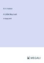 W. H. Hudson: A Little Boy Lost, Buch