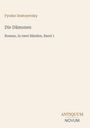 Fyodor Dostoyevsky: Die Dämonen, Buch
