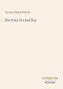 Thomas Bailey Aldrich: The Story of a Bad Boy, Buch