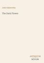 „John Galsworthy“, „The Dark Flower“, „ANTIQUM NOVUM“. Minimalistisches Design auf beigem Hintergrund.