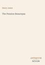 Buchtitel "The Pension Beaurepas" von Henry James. Unten rechts steht "ANTIQUM NOVUM". Schlichte, einfarbige Gestaltung.