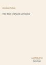 Autor: Abraham Cahan, Titel: The Rise of David Levinsky, Verlag: Antiquum Novum. Dezentes, minimalistisches Design.