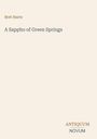 Text: "Bret Harte, A Sappho of Green Springs, ANTIQUUM NOVUM". Schlichtes, minimalistisches Layout mit beige Hintergrund.