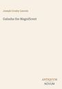 Text: "Joseph Crosby Lincoln", "Galusha the Magnificent", "ANTIQUM NOVUM". Minimalistisches, elegantes Design.