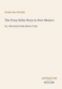 "Frank Gee Patchin. The Pony Rider Boys in New Mexico. Or, The End of the Silver Trail. Antiquum Novum. Beige Hintergrund."