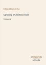 Edward Payson Roe, Opening a Chestnut Burr, Volume 4. Unten rechts das Logo "Antiquum Novum". Minimalistisches Design.