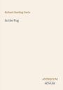 "Richard Harding Davis, In the Fog, ANTIQUUM NOVUM." Einfacher, heller Hintergrund, minimalistische Gestaltung.