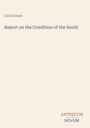 Titel: "Report on the Condition of the South" von Carl Schurz. Unten rechts steht "ANTIQUM NOVUM". Heller Hintergrund.
